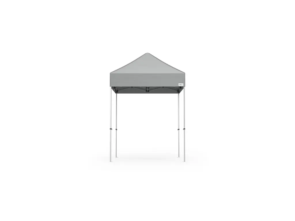 Canopy 2x2m (silver)